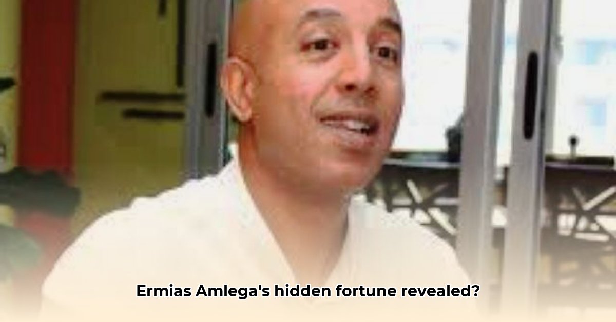 ermias-amelga-net-worth